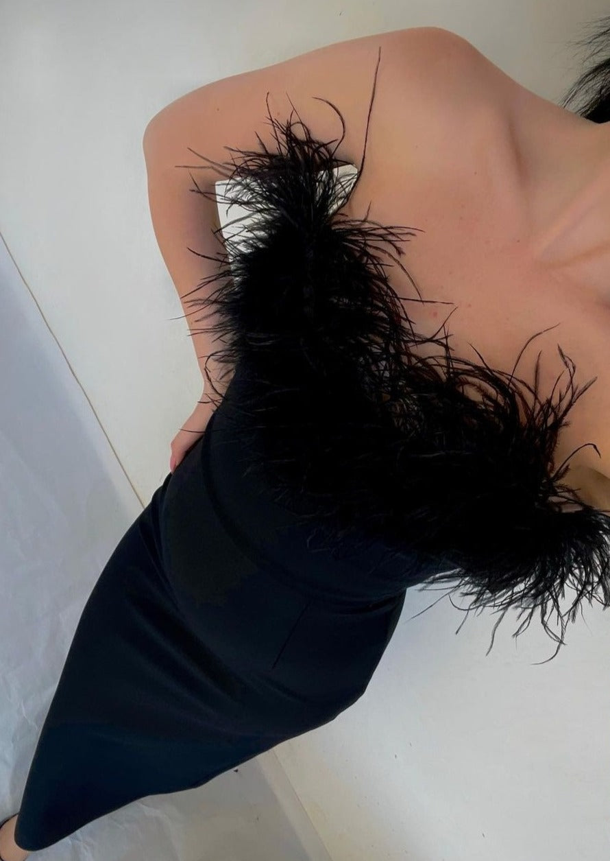 Fjolla – Feathered Elegance Strapless Gown