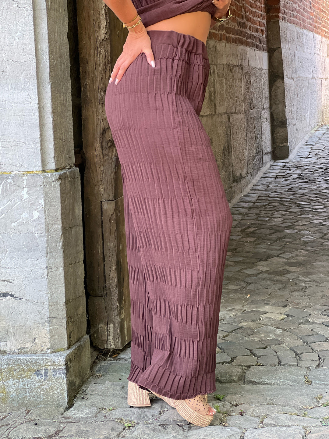 Seren  – Pleated Wide-Leg Pants Brown for Women